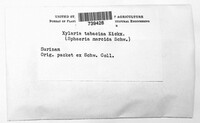 Image Associated With the Occurence